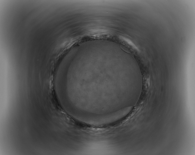 X0000088140965200705211132