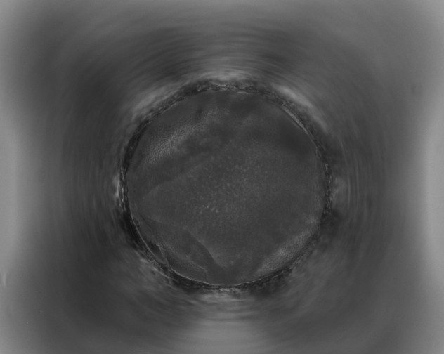 X0000088140966200705211132
