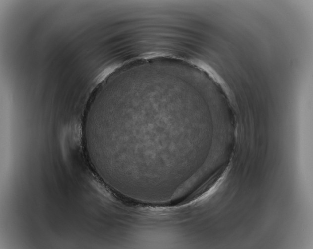 X0000088140969200705211132