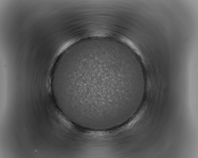X0000088140970200705211132