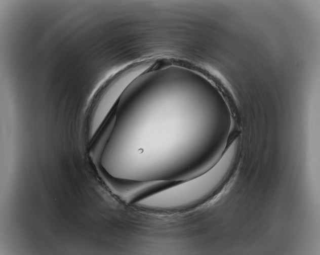X0000088140973200705211132