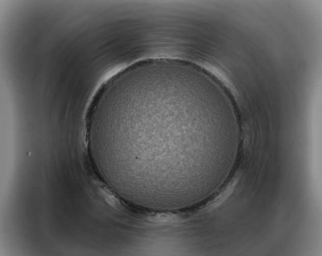 X0000088140974200705211132