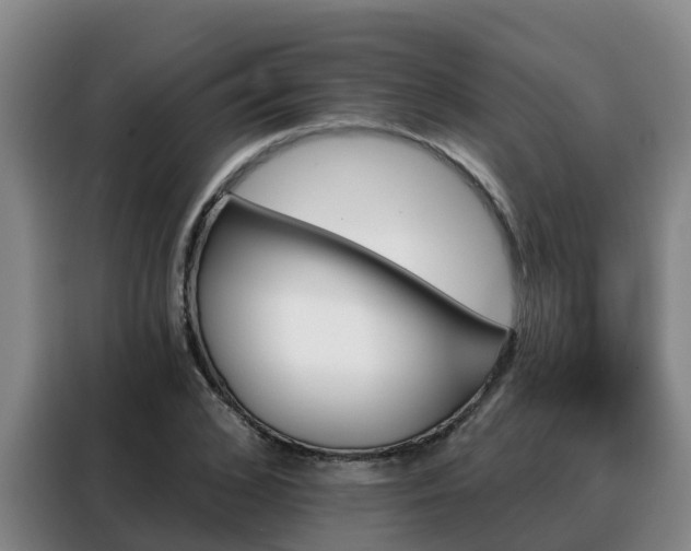 X0000088140976200705211132