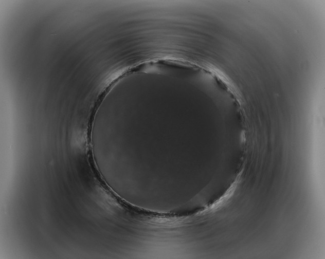 X0000088140977200705211132
