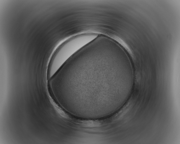 X0000088140980200705211132