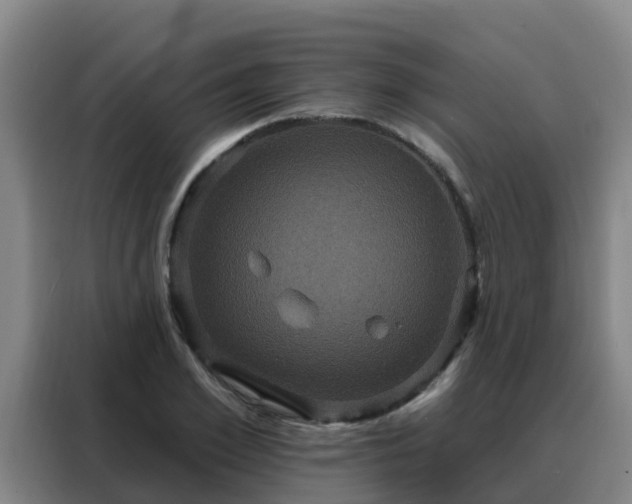 X0000088140981200705211132