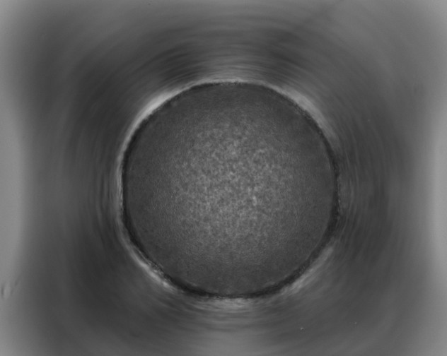 X0000088140982200705211132