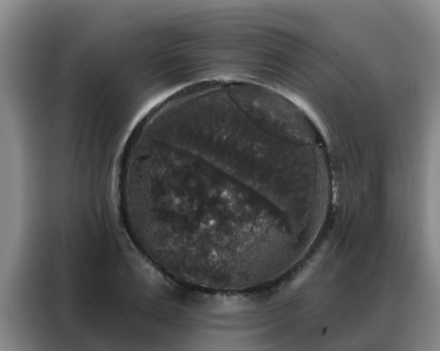 X0000088140983200705211132