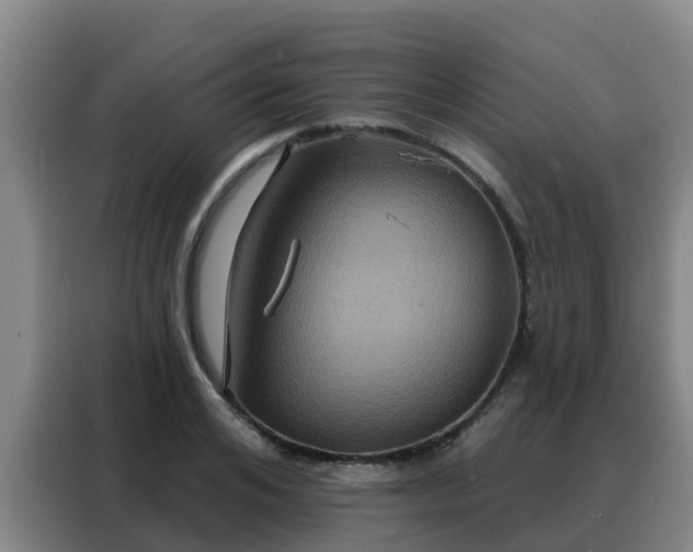 X0000088140984200705211132