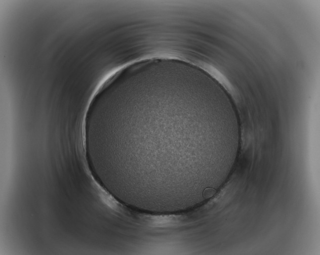 X0000088140988200705211132