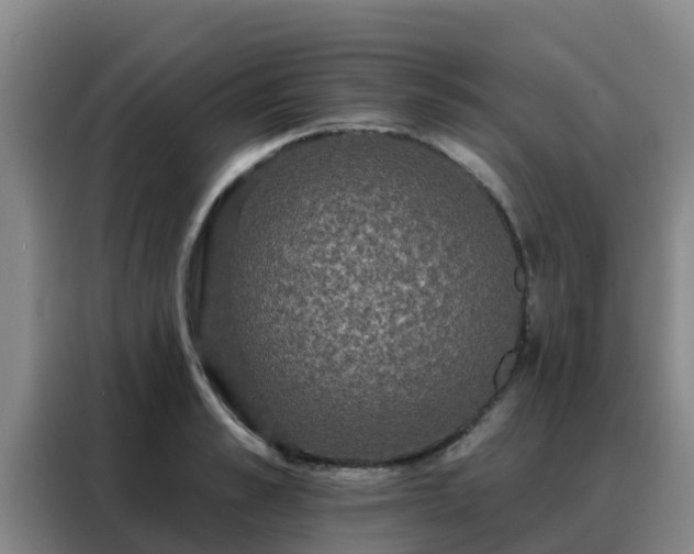 X0000088140989200705211132
