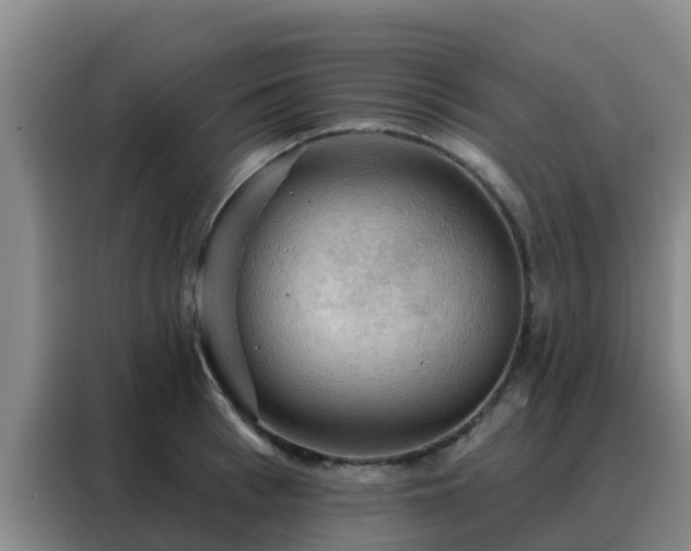 X0000088140993200705211132