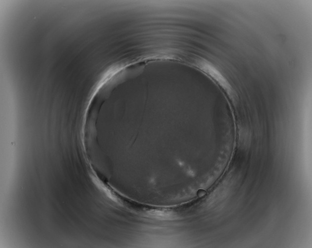 X0000088140994200705211132