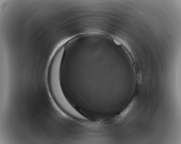 X0000088140995200705211132