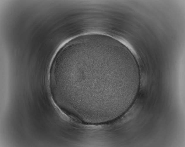 X0000088140996200705211132