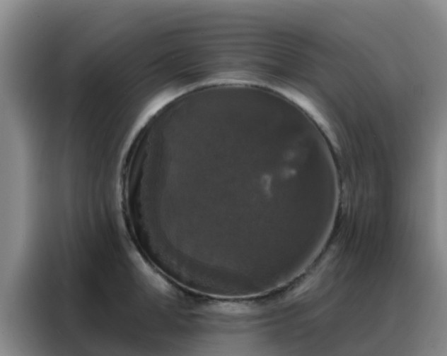 X0000088140998200705211132