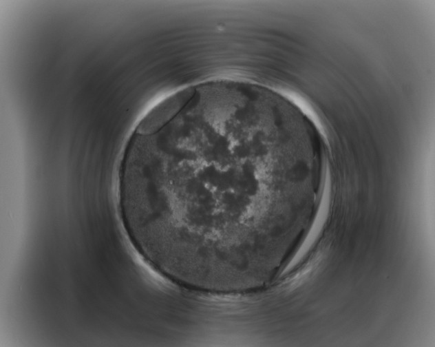 X0000088140999200705211132