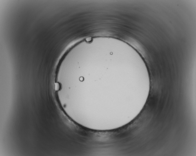 X0000088141000200705211132