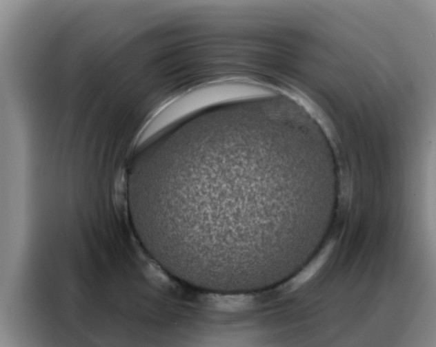 X0000088141001200705211132