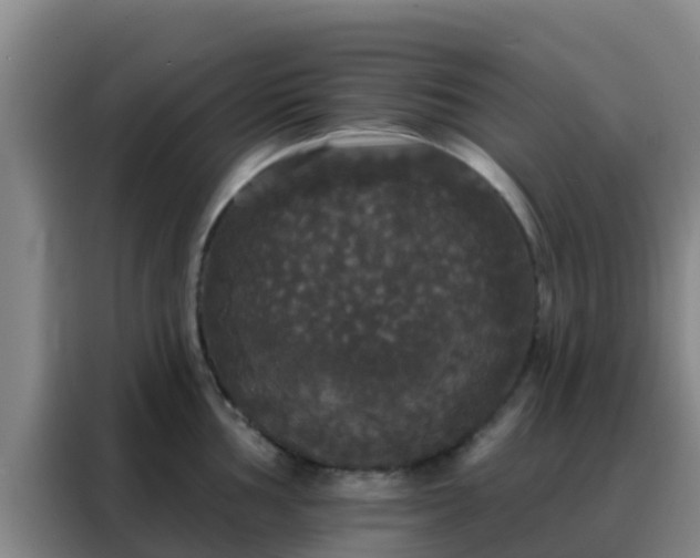 X0000088141002200705211132