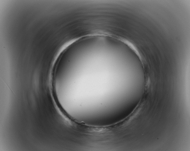 X0000088141003200705211132