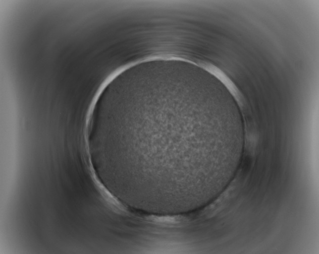 X0000088141004200705211132