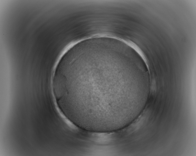 X0000088141005200705211132