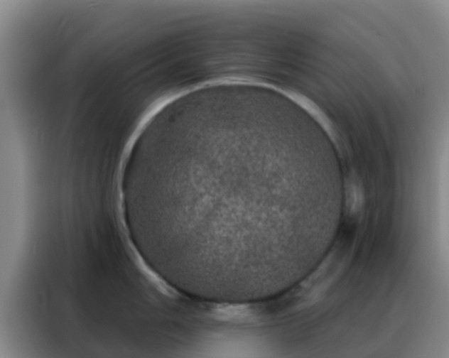 X0000088141006200705211132