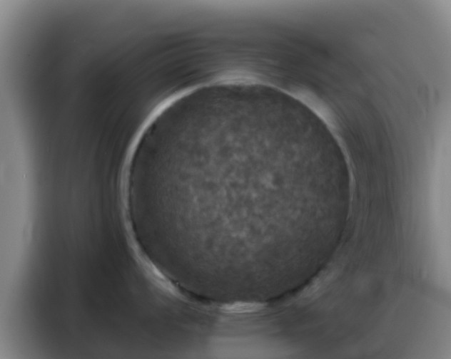 X0000088141008200705211132