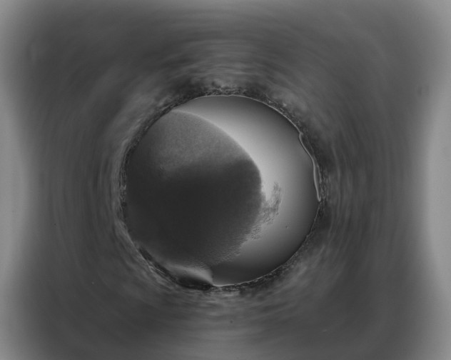 X0000088141009200705211131