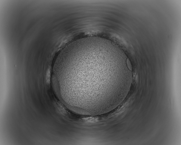 X0000088141012200705211131