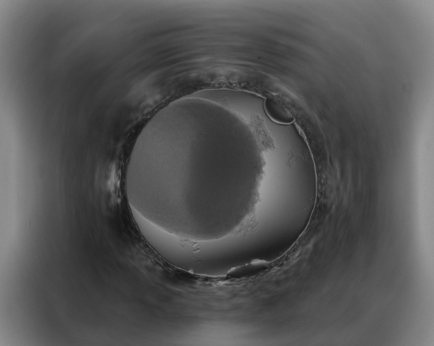 X0000088141013200705211131