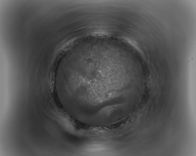 X0000088141015200705211131