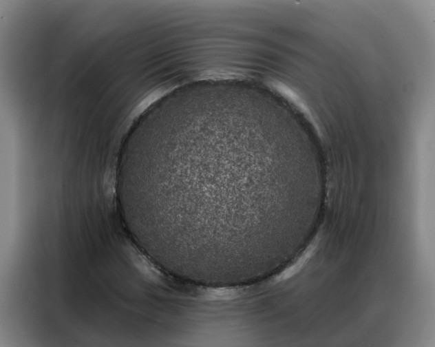X0000088141017200705211131