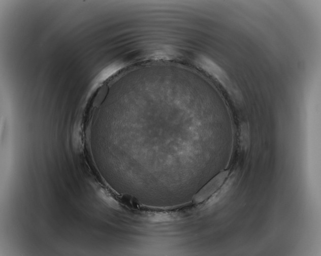 X0000088141018200705211131