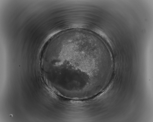 X0000088141019200705211131