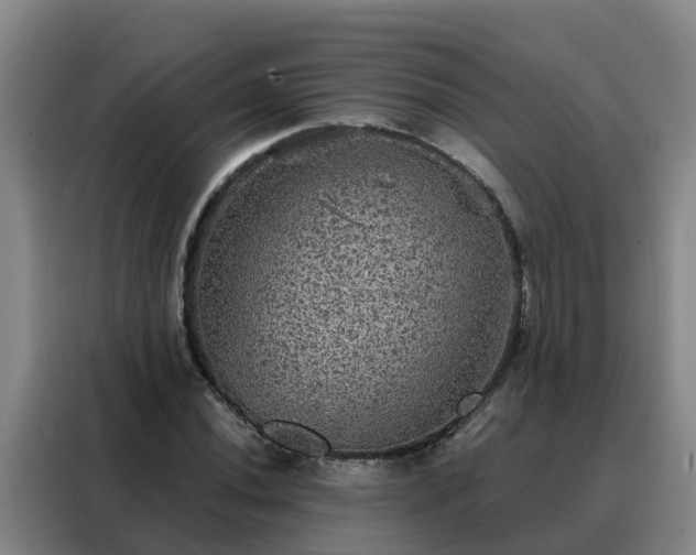 X0000088141020200705211131