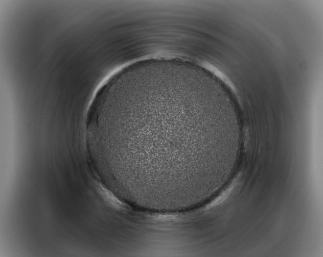 X0000088141021200705211131