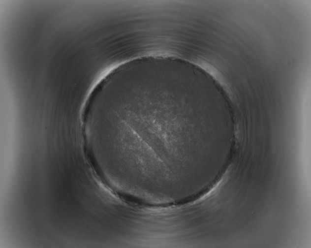 X0000088141022200705211131
