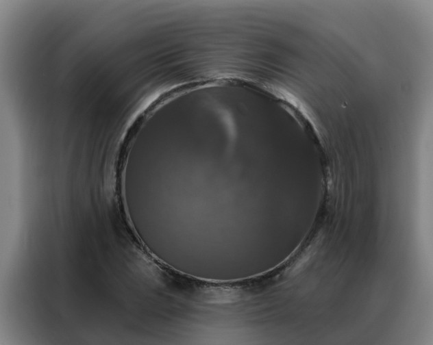 X0000088141023200705211131