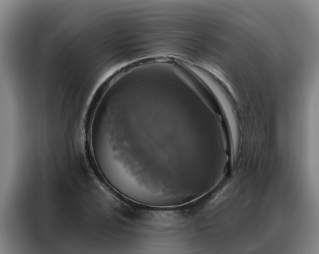 X0000088141024200705211131