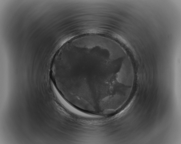 X0000088141025200705211131