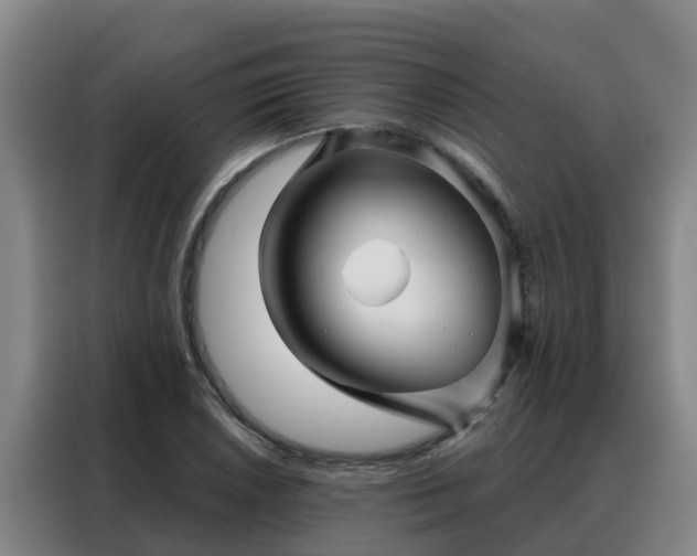 X0000088141026200705211131