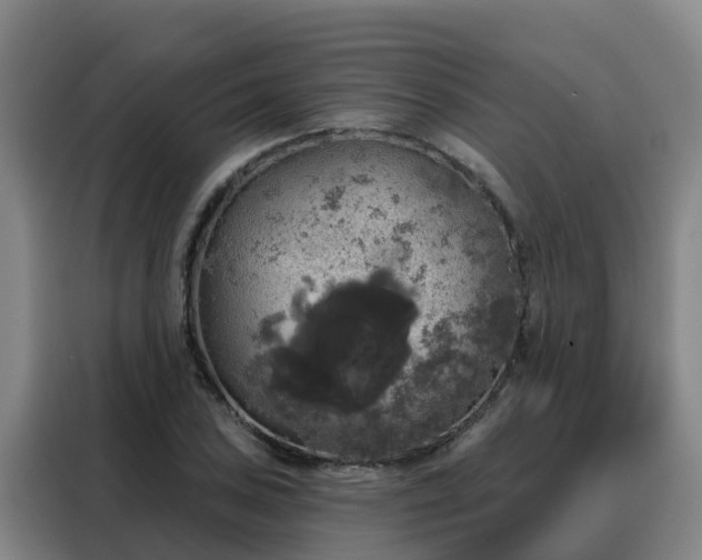 X0000088141027200705211131