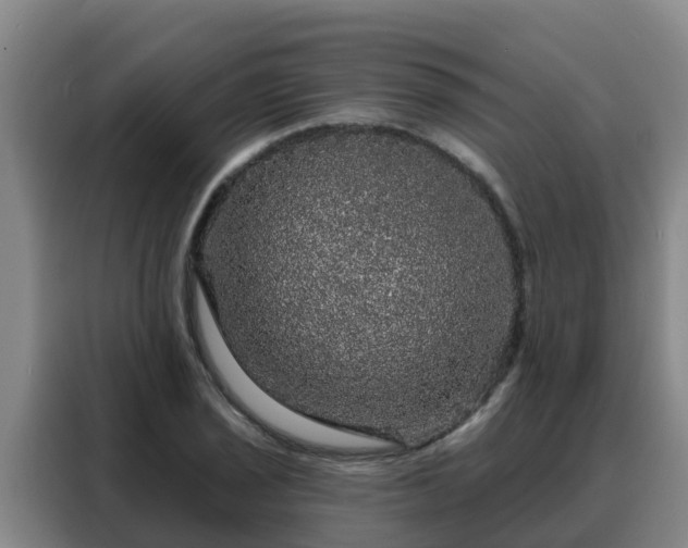 X0000088141029200705211131