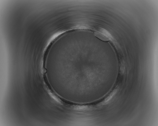 X0000088141030200705211131
