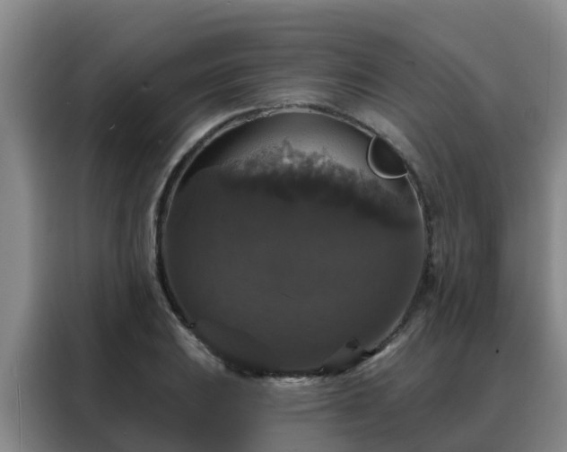 X0000088141031200705211131
