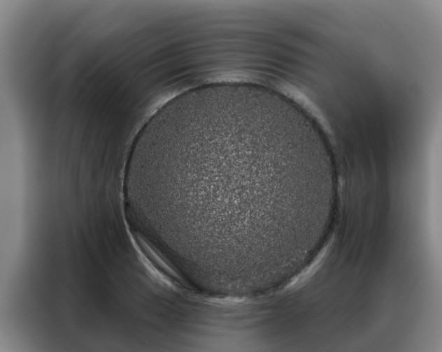X0000088141033200705211132