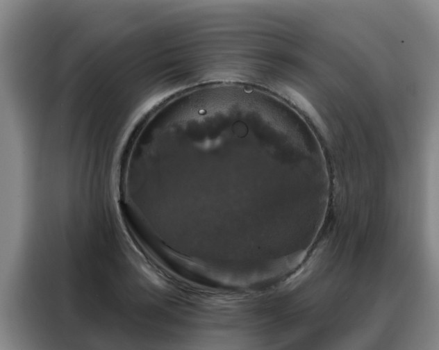 X0000088141035200705211132