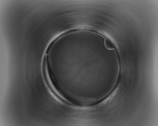 X0000088141037200705211132